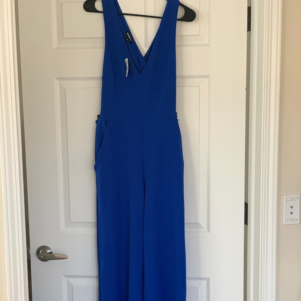 Royal Blue Jumpsuit from Express!